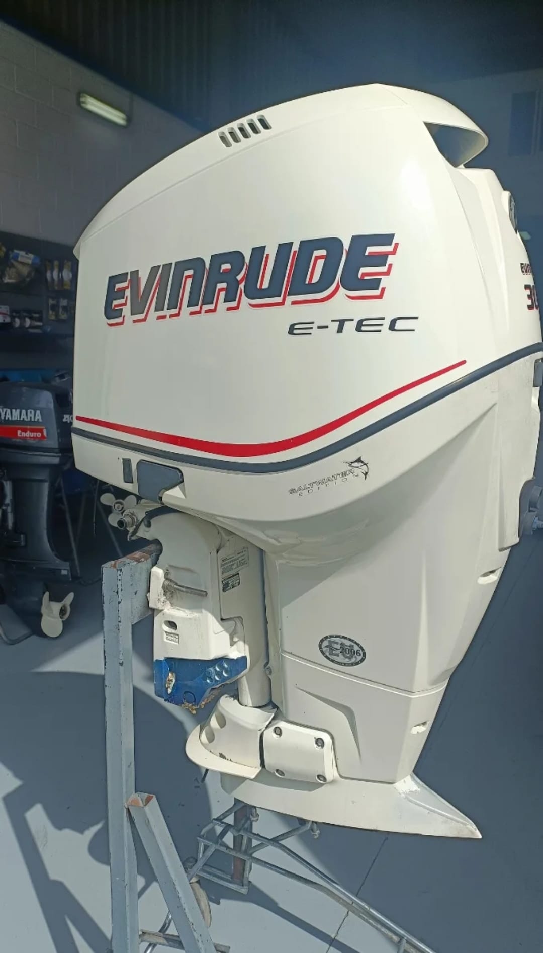Fueraborda Evinrude Etec 300cv usado